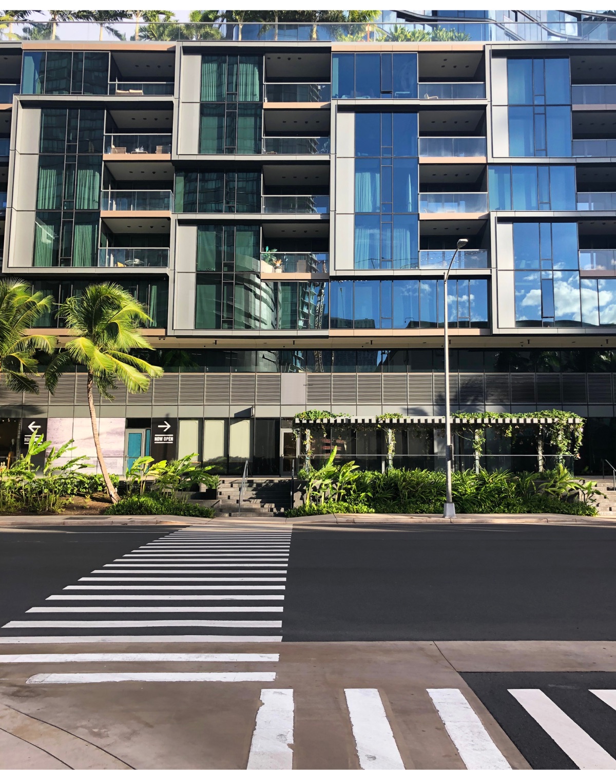 Street-level view of a modern glass condominium tower with palm trees and a crosswalk in Kakaako